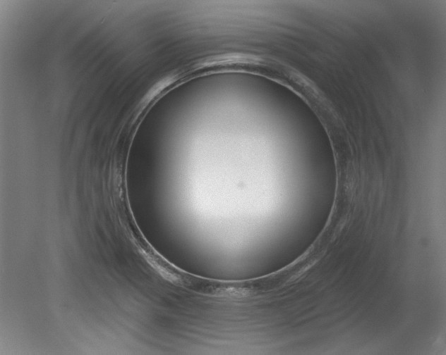 X0000080791321200701021214