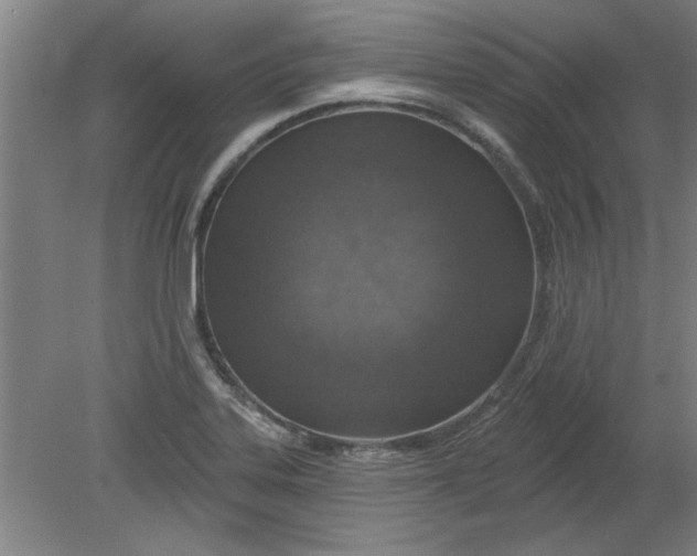 X0000080791323200701021214