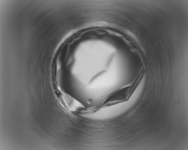 X0000080791326200701021214