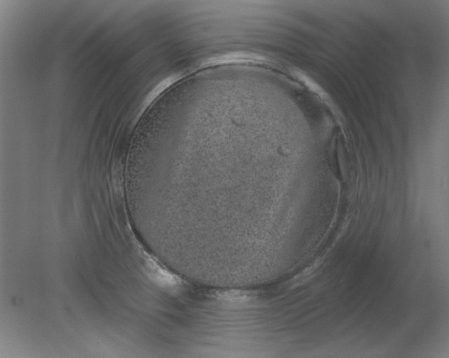 X0000080791329200701021214