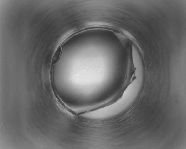 X0000080791330200701021214