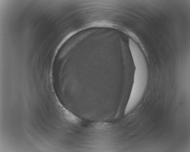 X0000080791331200701021214