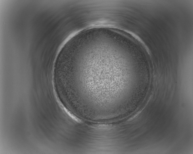 X0000080791333200701021214