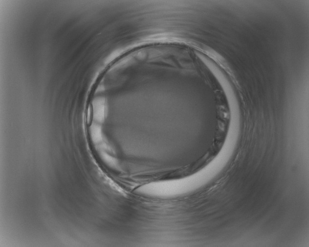 X0000080791334200701021214
