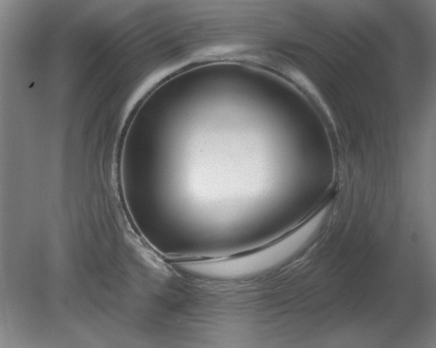 X0000080791336200701021214