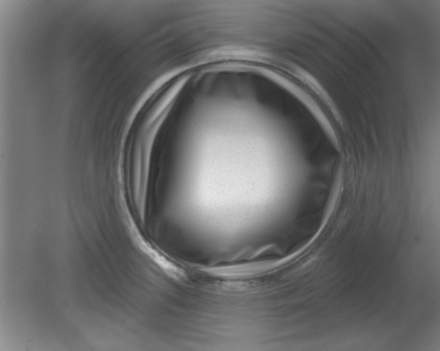 X0000080791339200701021214