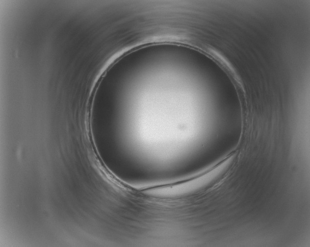 X0000080791340200701021214