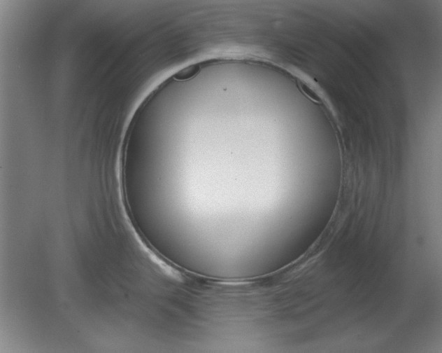 X0000080791343200701021214