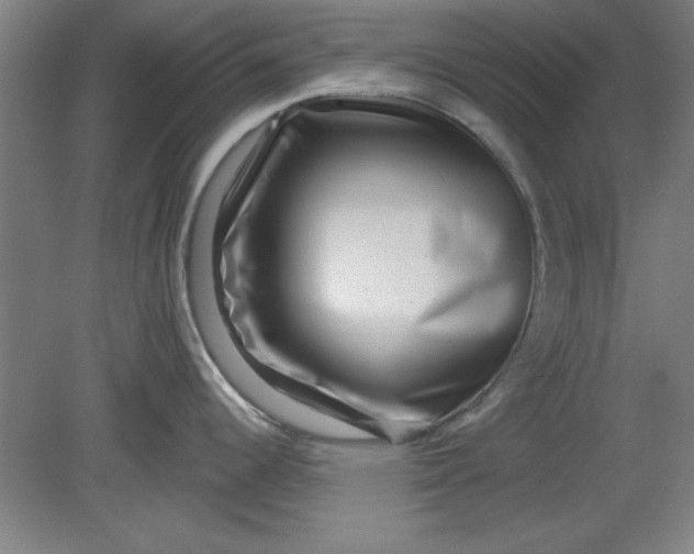 X0000080791344200701021214