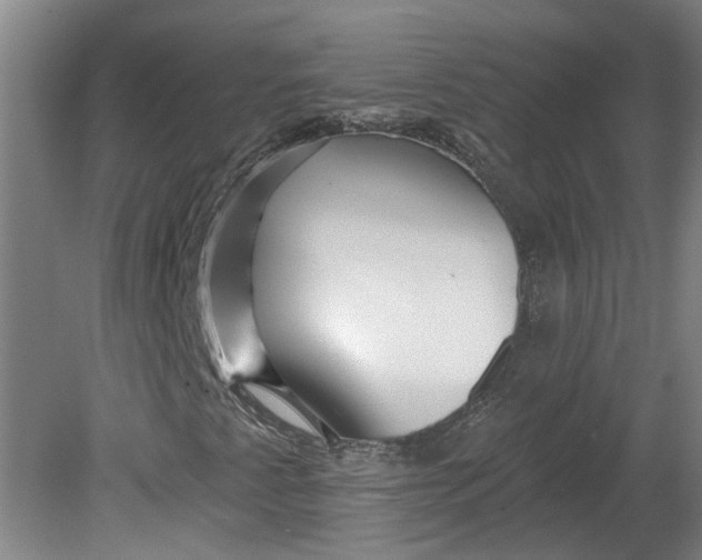 X0000080791345200701021213