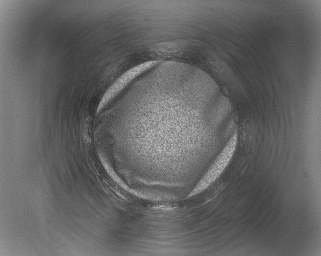 X0000080791346200701021213