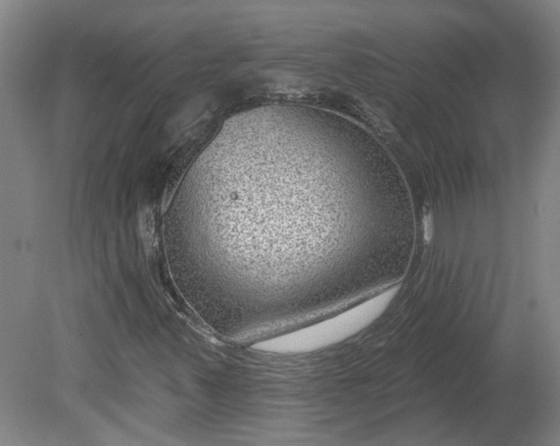 X0000080791347200701021213