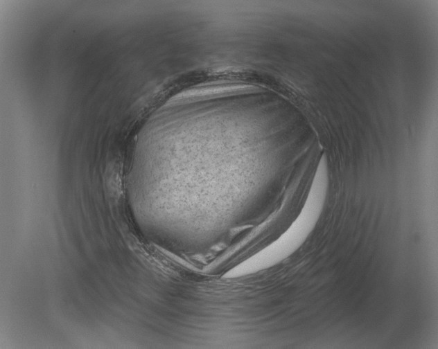 X0000080791348200701021213