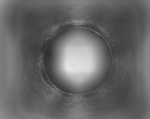 X0000080791349200701021213