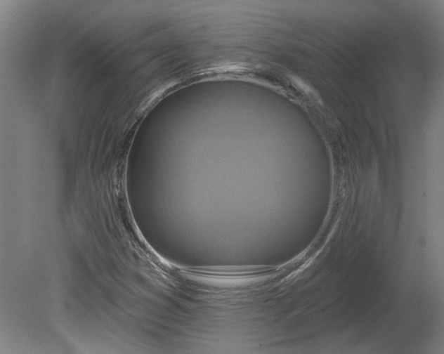 X0000080791353200701021213