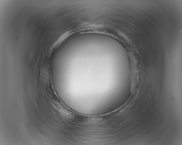 X0000080791354200701021213