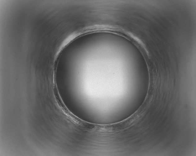 X0000080791365200701021213