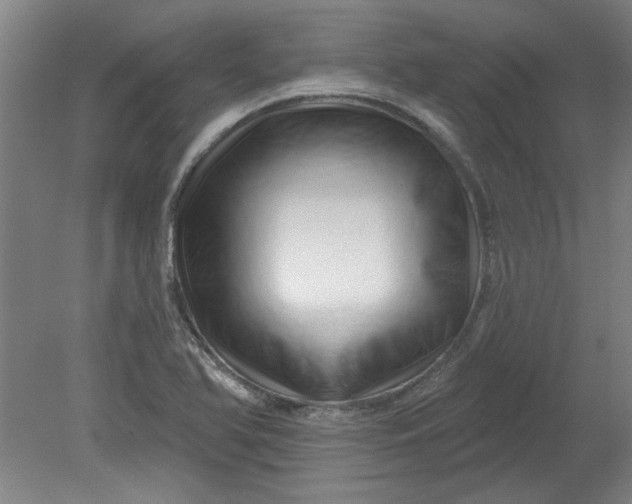 X0000080791366200701021213