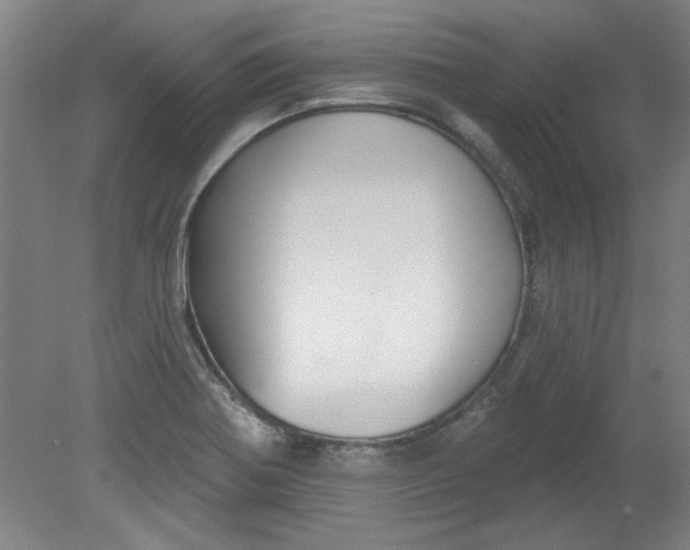 X0000080791370200701021213