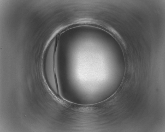 X0000080791376200701021213