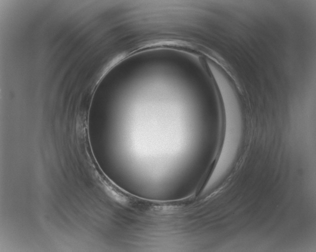 X0000080791377200701021213