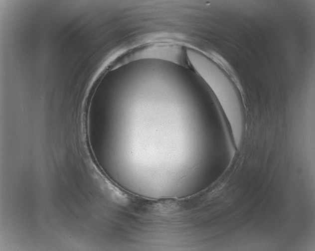 X0000080791384200701021213