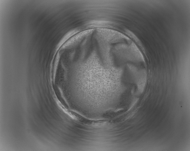 X0000080791386200701021213
