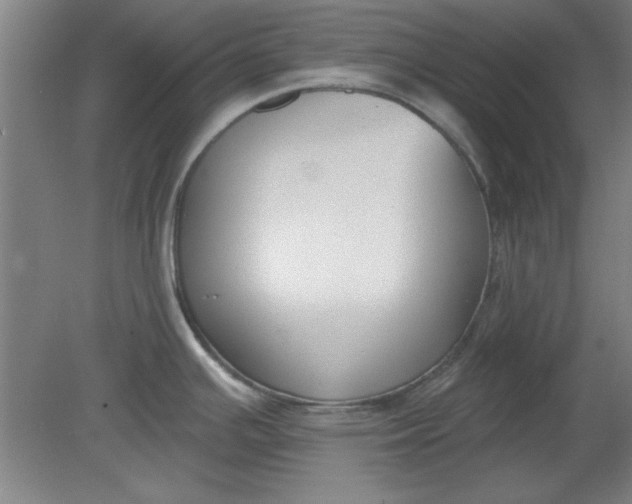 X0000080791391200701021212