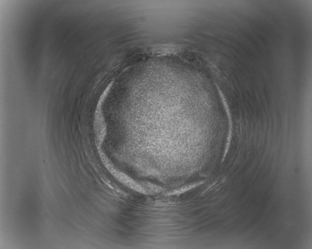 X0000080791393200701021212