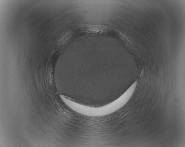 X0000080791394200701021212