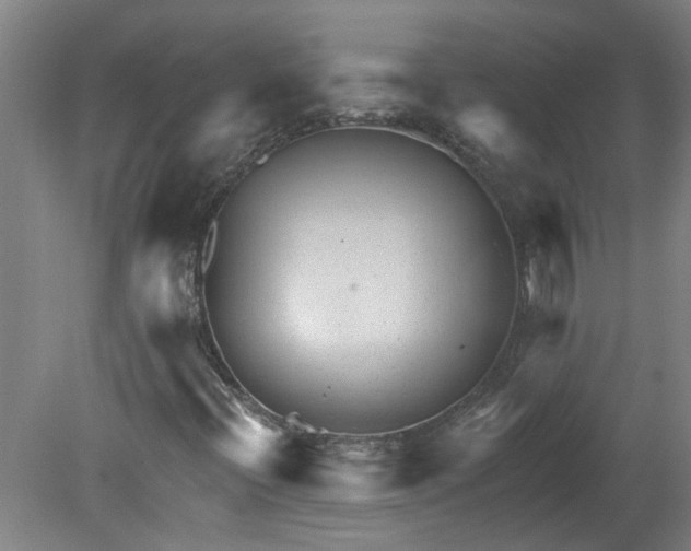 X0000080791396200701021212