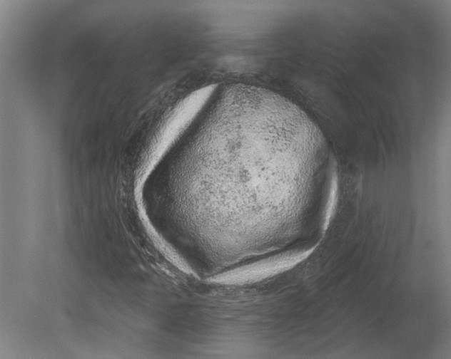 X0000080791397200701021212