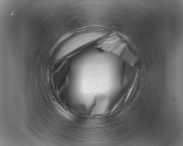 X0000080791402200701021212