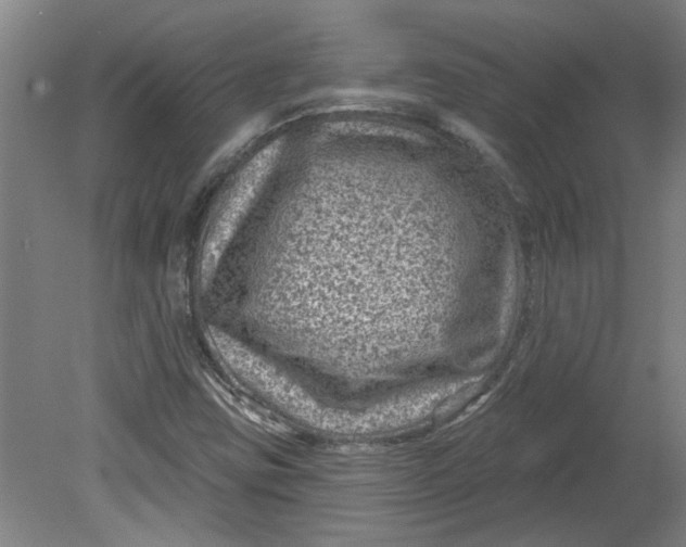 X0000080791403200701021212