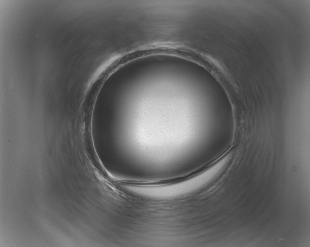 X0000080791406200701021212