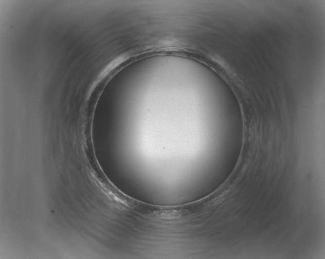 X0000080791410200701021212