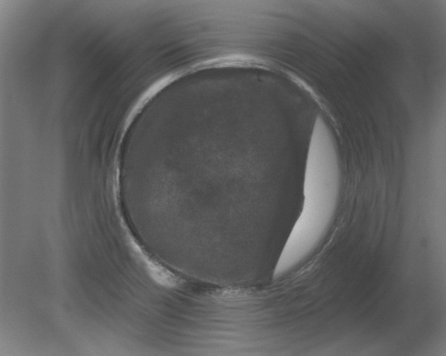 X0000080791418200701021212