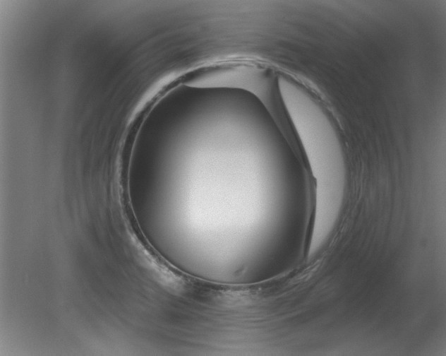 X0000080791422200701021212
