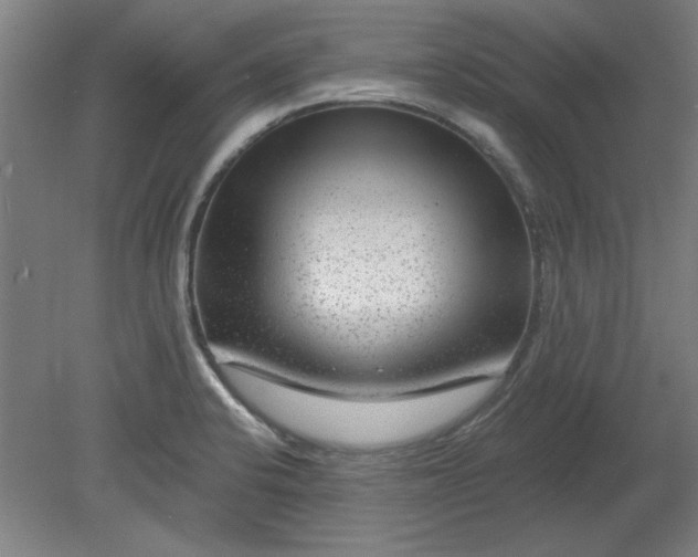 X0000080791424200701021212