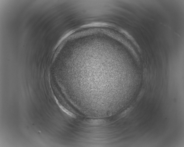 X0000080791425200701021212