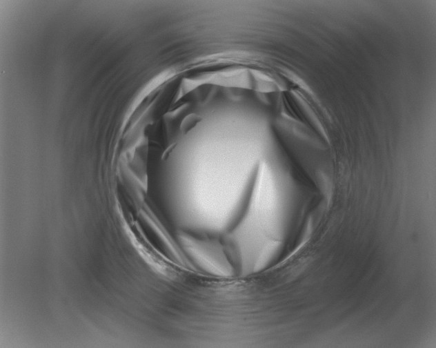 X0000080791426200701021212