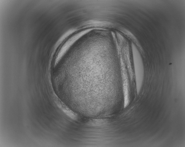 X0000080791427200701021212
