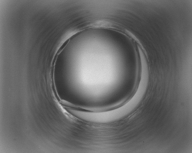X0000080791434200701021212
