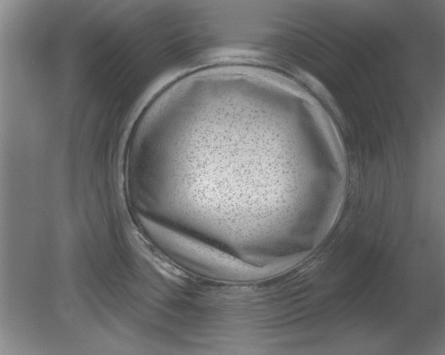 X0000080791435200701021212