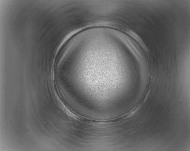 X0000080791436200701021212