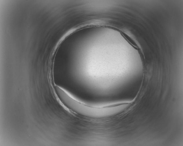 X0000080791437200701021212