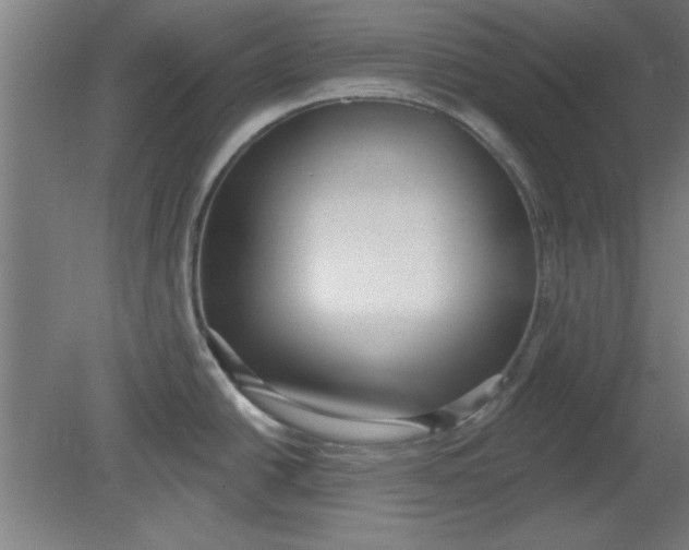 X0000080791438200701021212