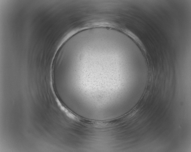 X0000080791439200701021212