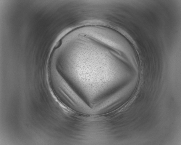 X0000080791440200701021212