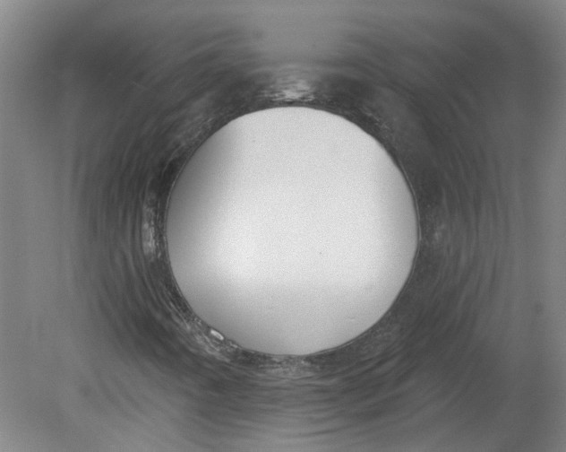 X0000080791442200701021212